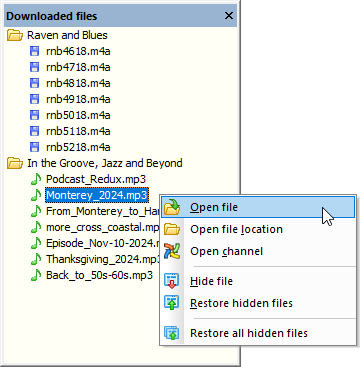 The Downloaded Files window