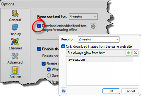 Configuring offline feed item images